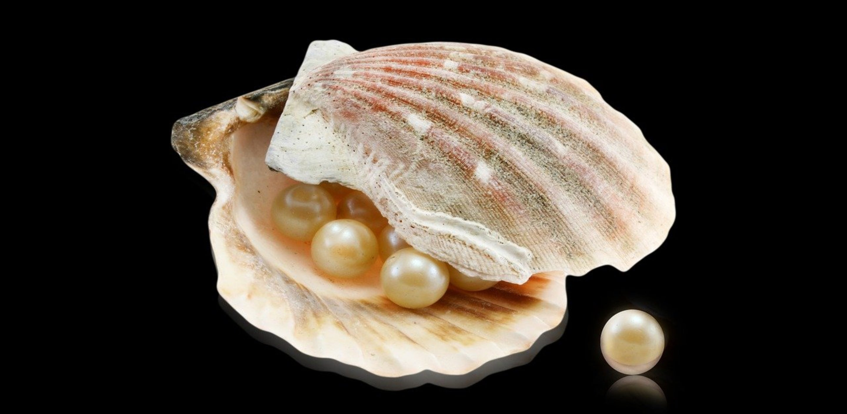 June Rocks June's Birthstones: Alexandrite, Moonstone & Pearl – Revive Jewelry